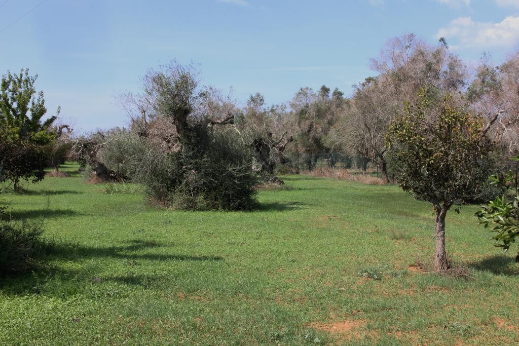 Villa Nanni Gallipoli Exterior photo
